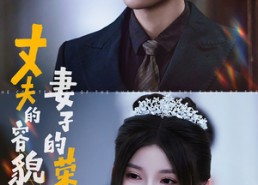 【丈夫的容貌妻子的荣耀】60集短剧完整版免费在线瞧看