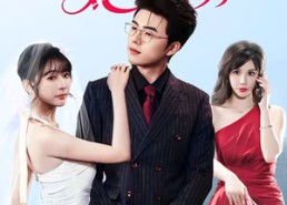 【与女总裁离婚后，她后悔了】80集高清短剧免费在线看