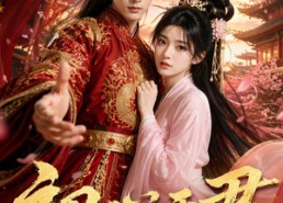 【初心于君】37集热门短剧免费在线追剧