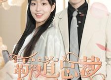 【霸道总裁的刁蛮女友】73集短剧全集在线赏