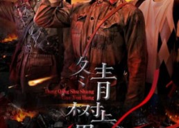 【冬青树上果犹红】9集短剧免费在线流畅观看