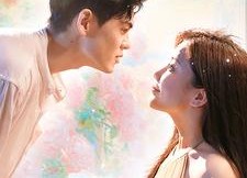 【每天都和总裁斗智斗勇】83集短剧高清全集在线览看