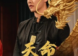 【天命龙吟】48集短剧免费随时观看