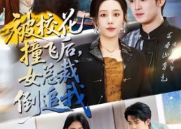 【被校花撞飞后，女总裁倒追我】80集短剧在线免费完整观看