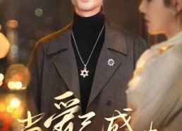 【当爱已成往事】30集短剧免费全集享看