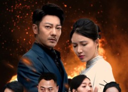 【云鹤归乡】65集短剧在线高清观看