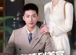 【从负债到首富：怼人系统真香】80集免费短剧完整观看