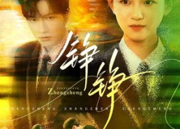 【铮铮】60集高清短剧全集免费观看