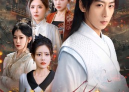 【红颜如此多娇】80集短剧在线免费畅看