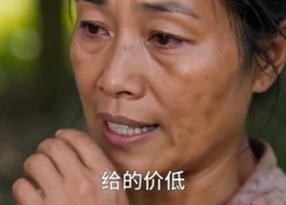 【别惹炸药包，她专治不服】50集短剧免费随心观看