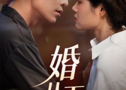 【婚从天降】92集短剧免费在线完整观