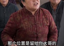【江野的故事】101集精彩短剧免费在线品鉴
