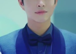 【忽如一夜春风来】28集短剧免费在线畅看