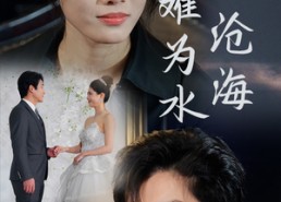 【曾经沧海难为水】30集在线免费短剧全集赏