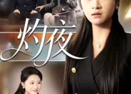 【灼夜】78集短剧免费在线完整收看