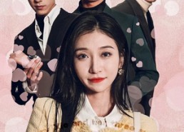 【谢秘书和她的三个上司】88集在线赏短剧全集