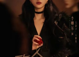 【致命双姝：她从精神病院来】54集短剧免费高清观看