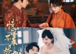 【情深不寿烬相思】60集夸克网盘短剧在线赏