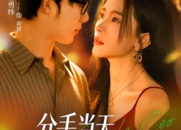 【分手当天，女总裁逼我闪婚了】72集免费短剧在线高清观看