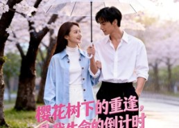【樱花树下的重逢，是我生命的倒计时】46集短剧全集畅快观看