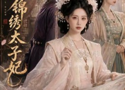 【重生之锦绣太子妃】81集短剧全集在线流畅观看
