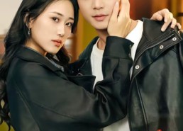 【灼灼风华八零后】69集精彩短剧全集在线播放