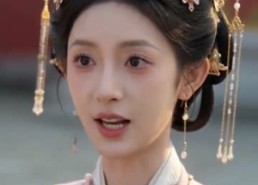 【藏仇入宫从女官步步崛起】25集短剧免费全集流畅播放