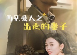 【再见爱人之出走的妻子】85集免费短剧全集畅享观看