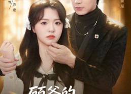 【顾爷的掌心娇宠】60集高清短剧在线速看