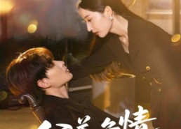 【公关危情】60集短剧在线免费乐看