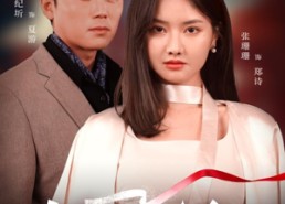 【她途】48集短剧免费在线完整追看