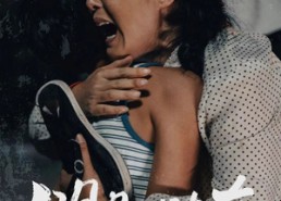 【明月几时有】40集短剧全集免费畅看