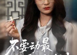 【不要动最后一张纸巾】25集免费在线看短剧集