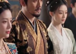 【休夫后，长公主的马甲藏不住了】36集短剧全集免费赏观