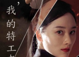 【进击吧，我的特工老妈】66集免费短剧在线速看