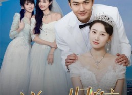 【逆风归航】55集在线免费短剧完整看