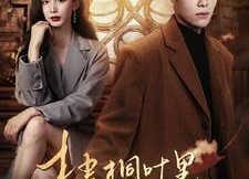 【梧桐叶里思星辰】100集短剧免费在线完整看