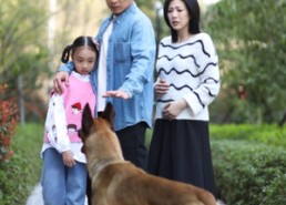 【养狗应有道】60集短剧在线免费畅看