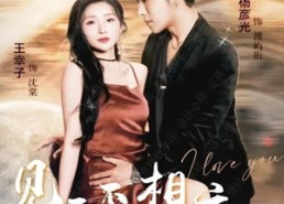 【见面不如相恋】71集短剧免费全览观看