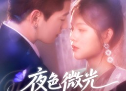 【夜色微光抚心醒】线上免费看82集短剧全集