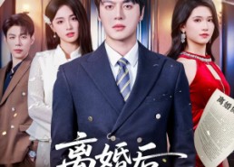 【离婚后，总裁老婆悔红眼】61集短剧完整高清在线播放