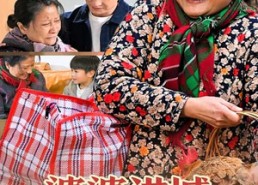 【婆婆进城过大年】33集在线短剧免费畅看