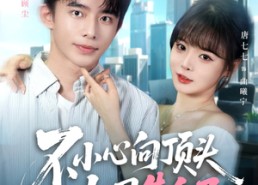 【不小心向顶头上司告白了】80集免费短剧全集在线赏