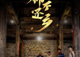 【衣锦不还乡】69集免费短剧资源在线观看