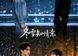 【冬雪知情意】15集短剧在线完整观看