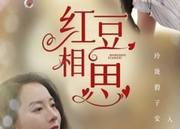 【红豆相思】67集短剧在线高清观看