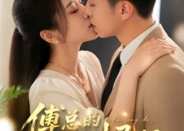 【傅总的天降太子妃】82集热门短剧免费在线观看完