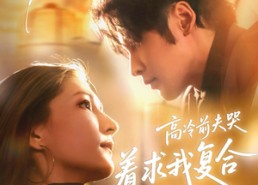 【离婚当天，高冷前夫哭着求我复合】77集短剧免费在线播放全集