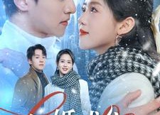 【闪婚成宠】95集免费短剧全集畅享看