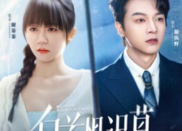 【白首恨迟暮】78集在线短剧免费完整版观看